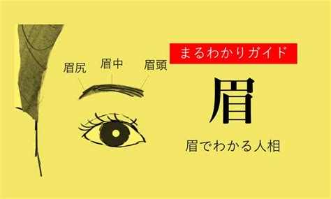 眉毛濃 面相|眉でわかる人相！眉の形や特徴ごとの性格【観相学】。